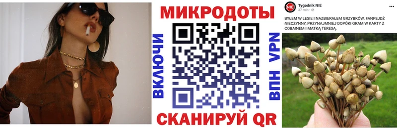 сколько стоит  Кувандык  Псилоцибиновые грибы прущие грибы 